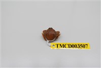 藏品(豆形拳蟹)的圖片